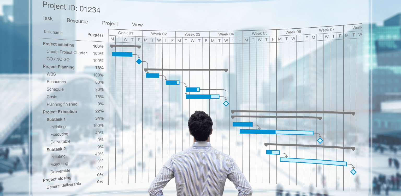 Project management