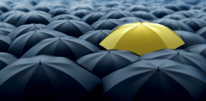 The Secret to finding the best candidate - one yellow umbrella among a sea of black umbrellas