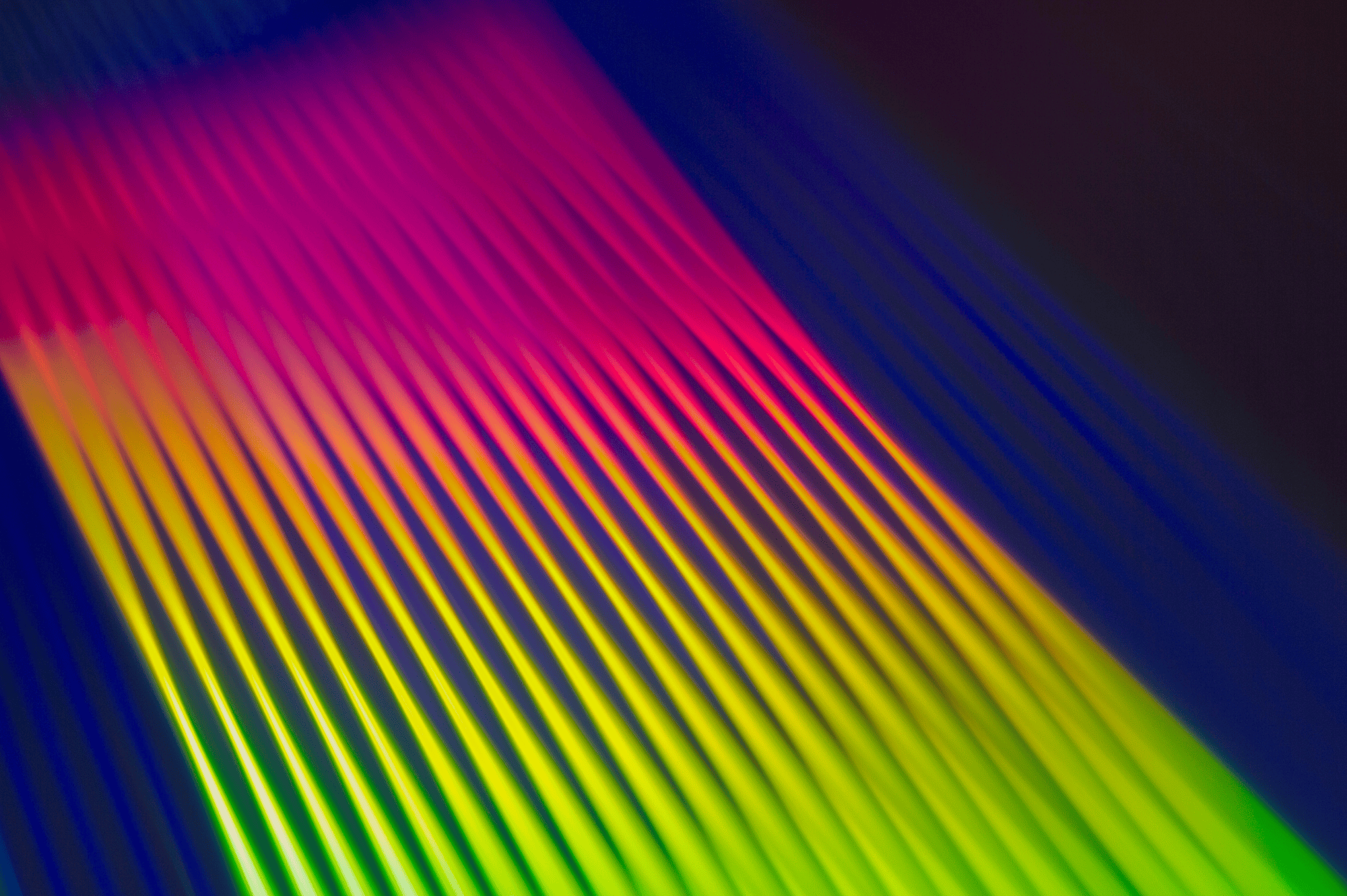 NEW Website Job Photos 4